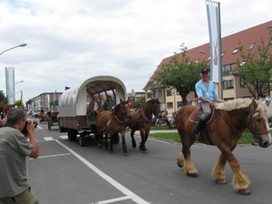 Sint-Paulus paardenprocessie Opwijk 08 056