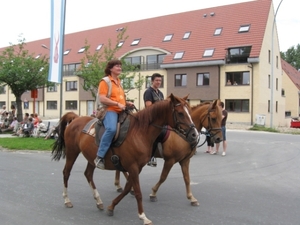Sint-Paulus paardenprocessie Opwijk 08 059