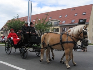 Sint-Paulus paardenprocessie Opwijk 08 080