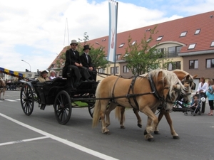 Sint-Paulus paardenprocessie Opwijk 08 085