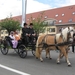 Sint-Paulus paardenprocessie Opwijk 08 086