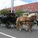 Sint-Paulus paardenprocessie Opwijk 08 088