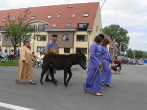Sint-Paulus paardenprocessie Opwijk 08 115