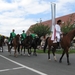 Sint-Paulus paardenprocessie Opwijk 08 134
