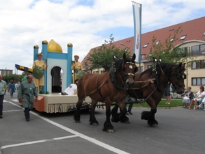 Sint-Paulus paardenprocessie Opwijk 08 136