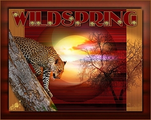wildspring