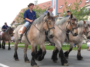 Sint-Paulus paardenprocessie Opwijk 08 189
