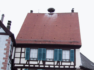 1149 Ribeauvill  Ooievaars opm het dak