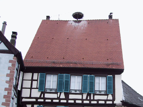 1149 Ribeauvill  Ooievaars opm het dak