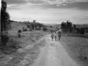 RWANDA  1959 : nabij Butare, weg naar Cyangugu