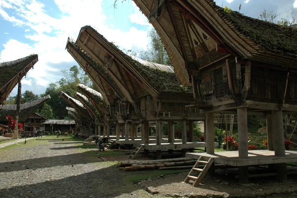 Sulawesi tongkanan woningen