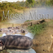 Titel Masai Mara