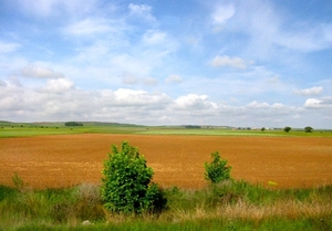 landschap 2008 306