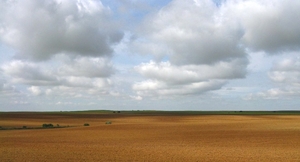 landschap 2008 312