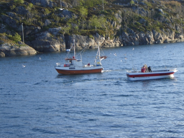 Fjord met Hitraboot