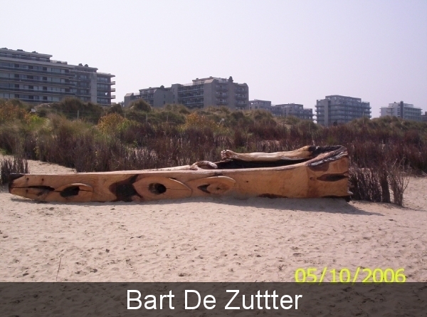 100_0082 Bart De Zutter