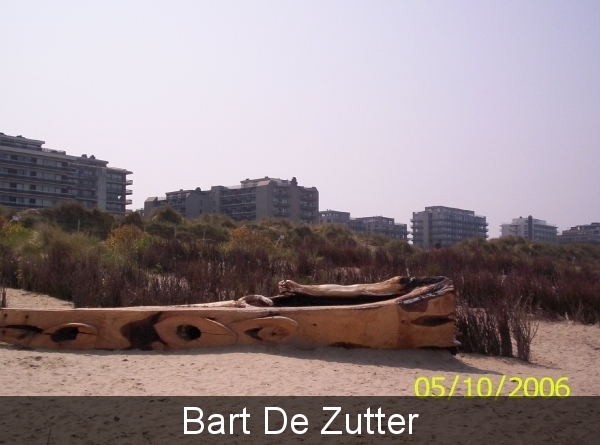 100_0083 Bart De Zutter