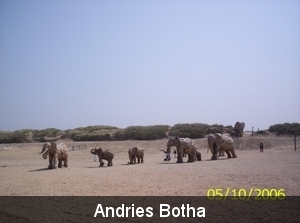 100_0093  Andries Botha