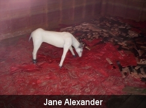 100_0097  Jane Alexander