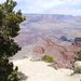 foto's reis USA-2006- The Grand Canyon 8
