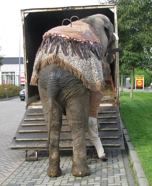 olifant vrachtauto
