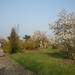 lente in het arboretum