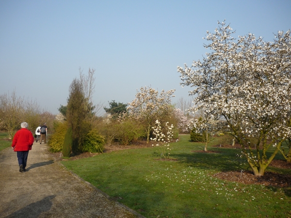 lente in het arboretum