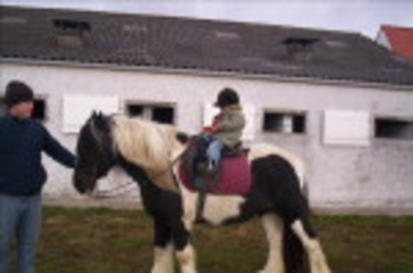 2006 Mei 12 Anke op een pony