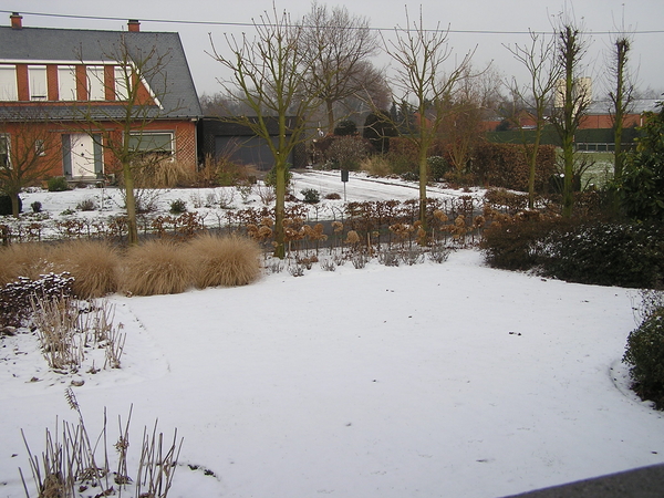 Winter in de tuin
