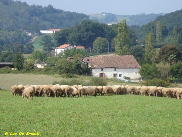 Baskenland Gastronomie schapenkaas