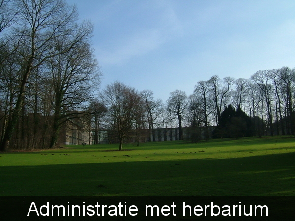 Administratie met herbarium