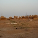 3b Jaisalmer _sunset bij stadswallen en crematieplaats _P1020220
