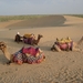3c Jaisalmer _Kamelentocht _2