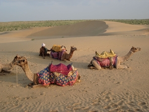 3c Jaisalmer _Kamelentocht _2