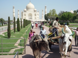 8b Agra _Taj Mahal _P1030159