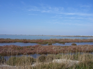 Ebro delta