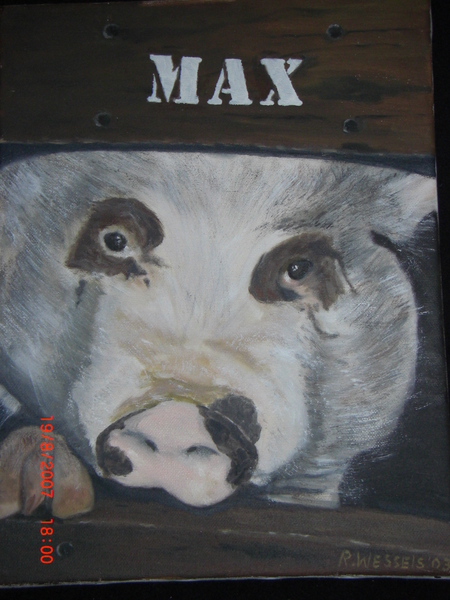 Max van de kinderboerderij