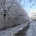 Winter in fabiola park (11)