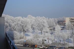 Winter in fabiola park (2)