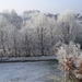 Winter in fabiola park (3)
