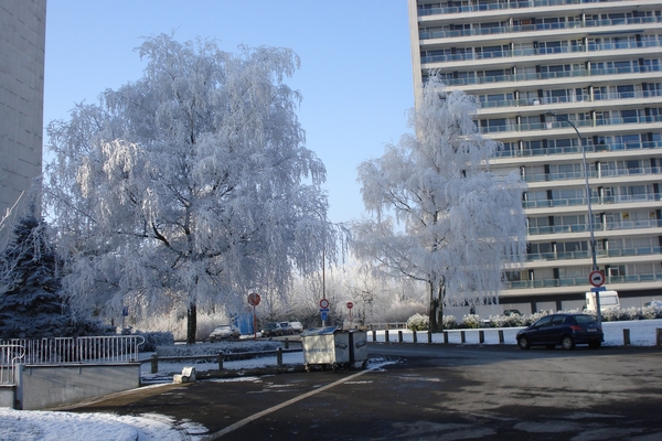 Winter in fabiola park (5)