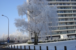 Winter in fabiola park (9)
