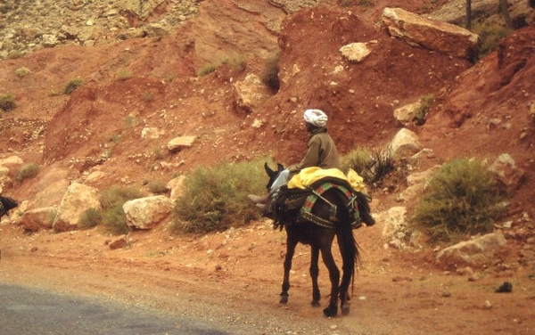 Marokko zuiden Draa vallei (60)