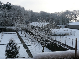 sneeuw 2008.1