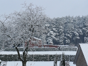 sneeuw 2008.5