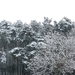 sneeuw 2008.6