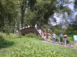 Gensingen - Voetgangersbrug over het riviertje de Nahe