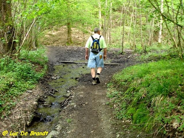 Ardennen Adeps wandeling Gochene