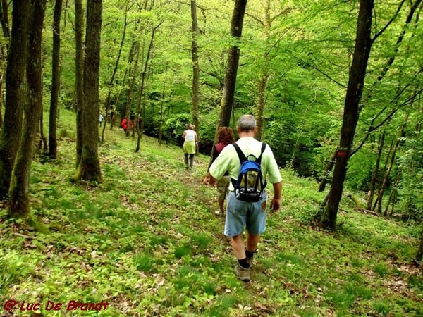 Ardennen Adeps wandeling Gochene