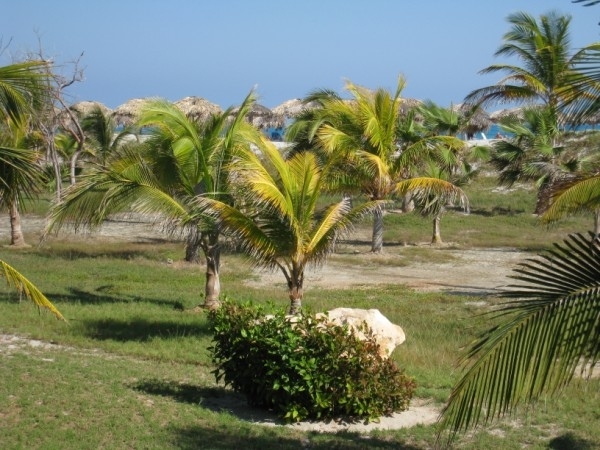 CUBA 2008 017